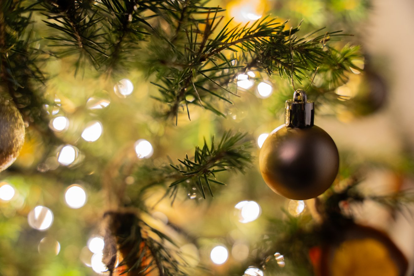 Képünk illusztráció &bullet;  Fotó: Orbán Orsolya