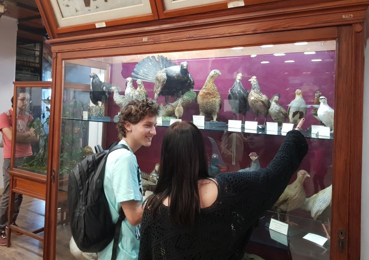 Ingyenes hétvége a kolozsvári Állattani Múzeumban: előadások, madárgyűrűzés és kézműves vásár várja a látogatókat