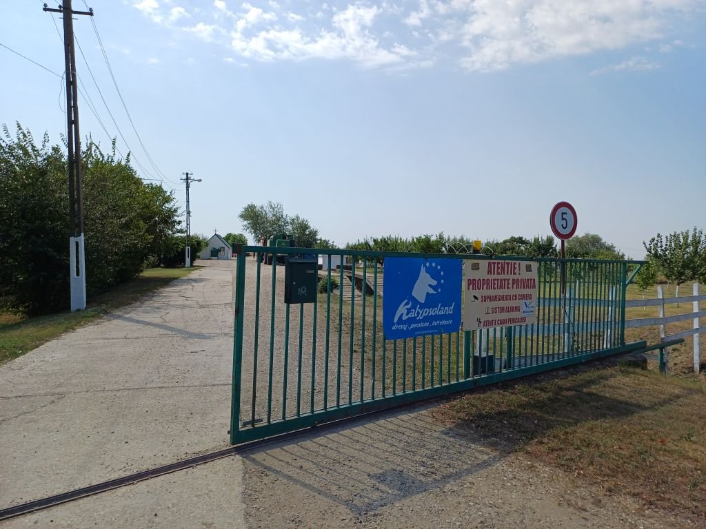A mezőgazdasági farmon működik a kutyapanzió •  Fotó: Pataky Lehel Zsolt