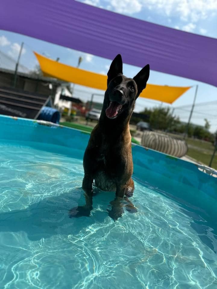 „Jaj, úgy élvezem én a strandot!” •  Fotó: Facebook/Kalypsoland
