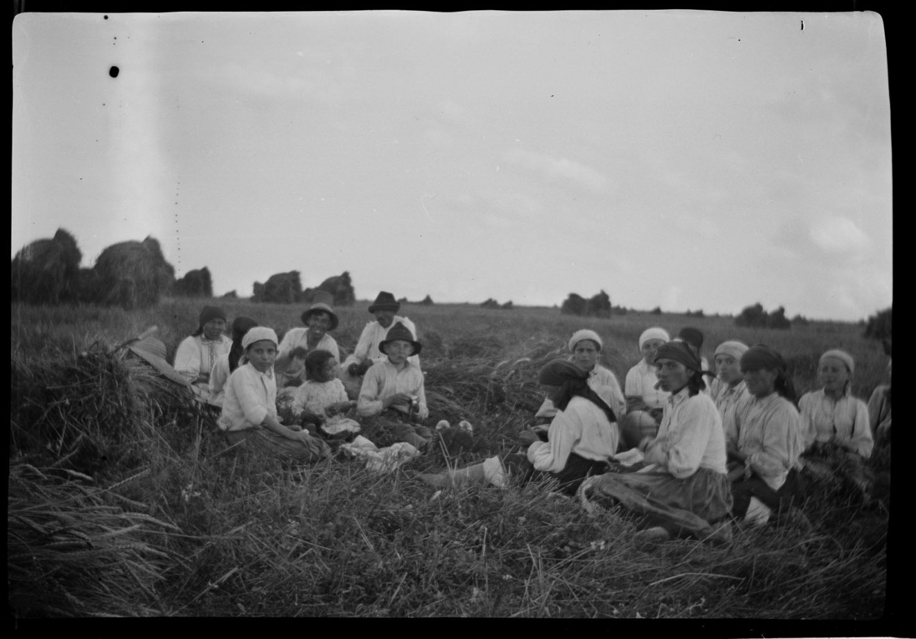 Aratás a Kolozs megyei Nyárszón az 1940-es évek elején •  Fotó: Magyar Néprajzi Múzeum gyűjteménye