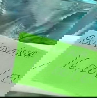 „Ha Costinești úgy nézne ki, mint Nizza...” – kifakadt az indokolatlanul magas árak miatt a fogyasztóvédelem vezetője