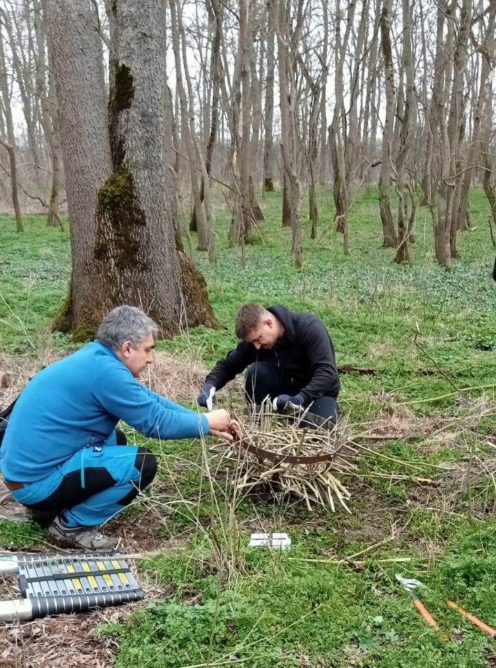 Százhúsz műfészket helyeztek el a Maros-ártér Természetvédelmi Park vadőrei