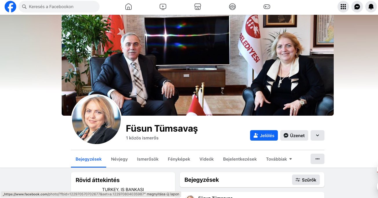Ilyen álprofilokon keresztül környékezik meg a közösségi oldalak felhasználóit a csalók •  Fotó: Gazda Árpád / képernyőmentés