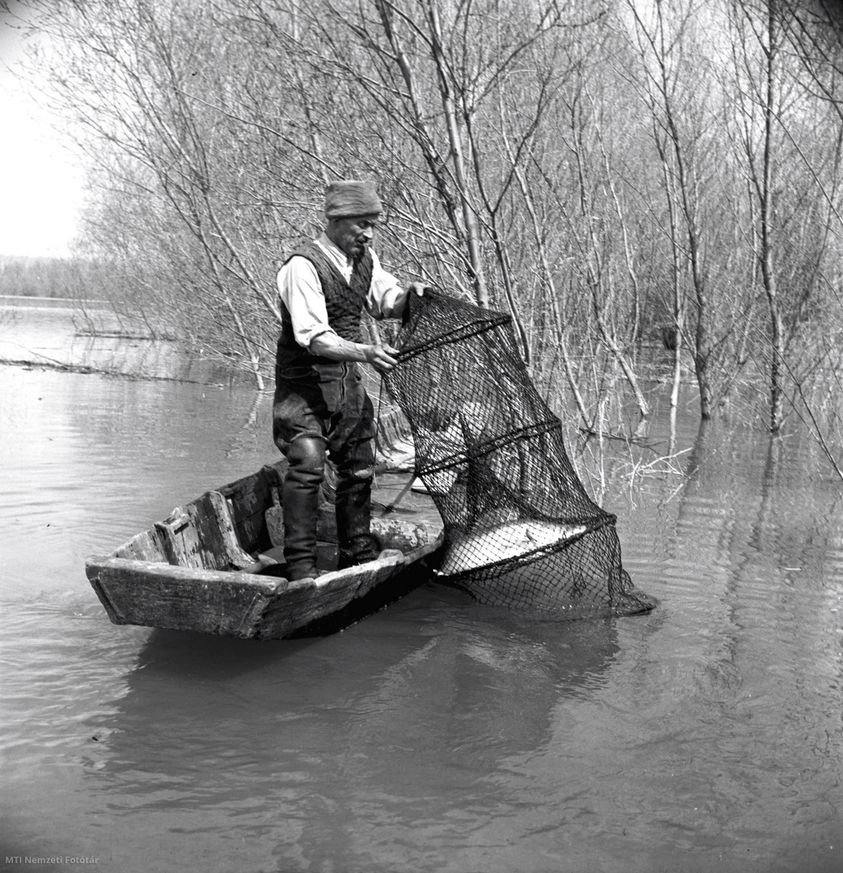 Mátyás a halászoknak is jeles napja, ekkor kezdenek ívni a csukák – Nemzeti Fotótár - Baja, 1952. •  Fotó: Vigovszki Ferenc/MTI/ via Hagyományok Háza/Facebook