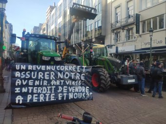 A zöld álmok és a való élet viszonya