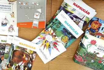 Erdélyi írószervezeteket, folyóiratokat támogat a Méhes György-Nagy Elek Alapítvány