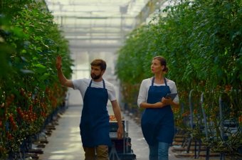 Az összes EU-s támogatási lehetőség egy helyen