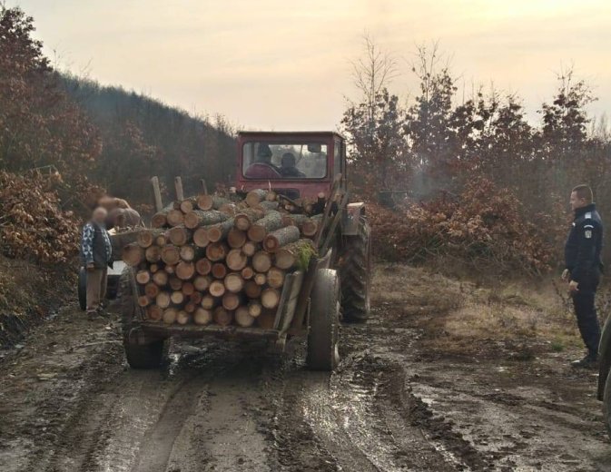 Ittasan, jogosítvány nélkül és illegális faanyaggal: lebukott egy traktoros Máramarosban