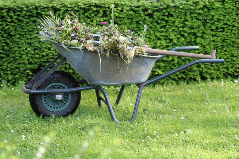 Szép, elérhető és fenntartható: a kertrendezés rejtelmeiről erdélyi szemmel