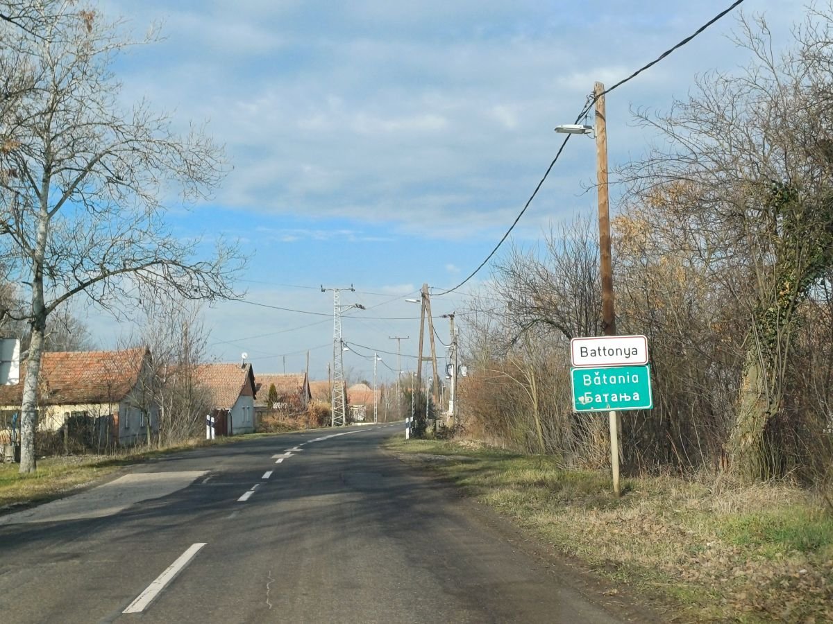 törvény