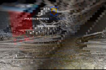 Börtön jár az illegális favágásért: három Maros megyei férfit vett őrizetbe a rendőrség