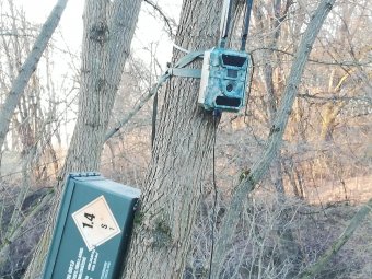 Határrendészet: a schengeni határellenőrzések megszűnése után is elfogják a bűnözőket