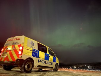 Rendőrségi fogdába került a marosvásárhelyi cégeket fosztogató bűnbanda négy tagja