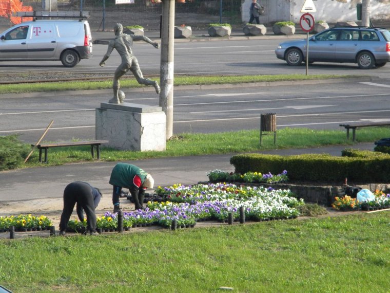 Zöldövezeteket fogadhatnak örökbe a partiumi megyeszékhely lakói