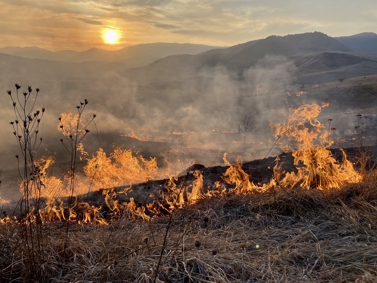 &bullet;  Fotó: Gazda Árpád