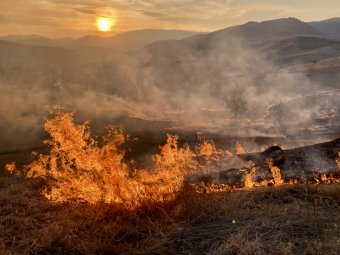 Három Hargita megyei gazda már kevesebb területalapú támogatást számíthat, amiért tarlótűz volt a földjükön