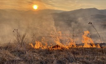Veszélyesen gyorsan terjednek a tarlótüzek