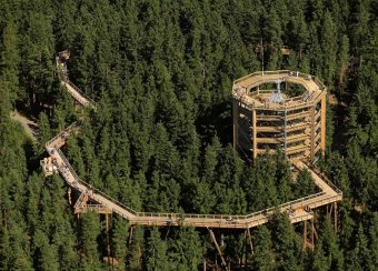 Lombkoronasétányt hoznának létre egy erdélyi városban