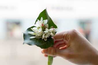 Színes programsorozattal ünneplik a nőket Székelyudvarhelyen