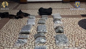 Rengeteg marihuánát akart behozni Romániába egy fiatalember, elkapták a határon