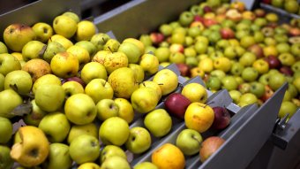 Ismét nőtt az infláció, látványosan megdrágultak a gyümölcsök és a vasúti közlekedés