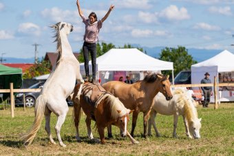 Ismét patadobogástól lesz hangos Barcaújfalu