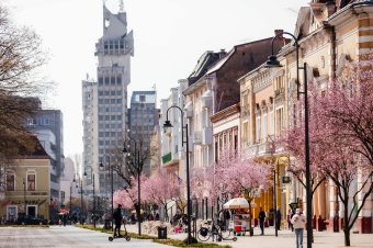 Kitüntetik a szatmári magyar kulturális életet gazdagító személyiségeket