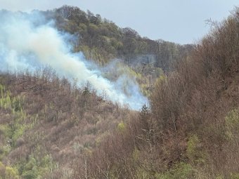 Lángra kapott, húsz hektáron ég a száraz növényzet Maroshévízen
