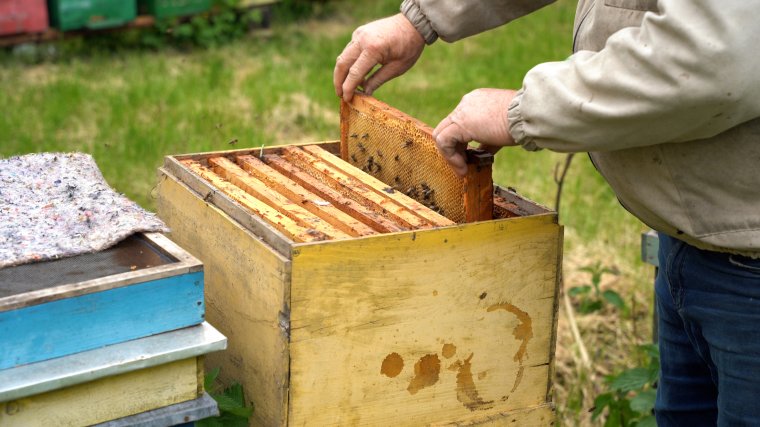 Kipergetni is alig lehet a mézet, olyan hideg az idei május