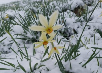 Májusi tél: lehavazott a Radnai-havasokban