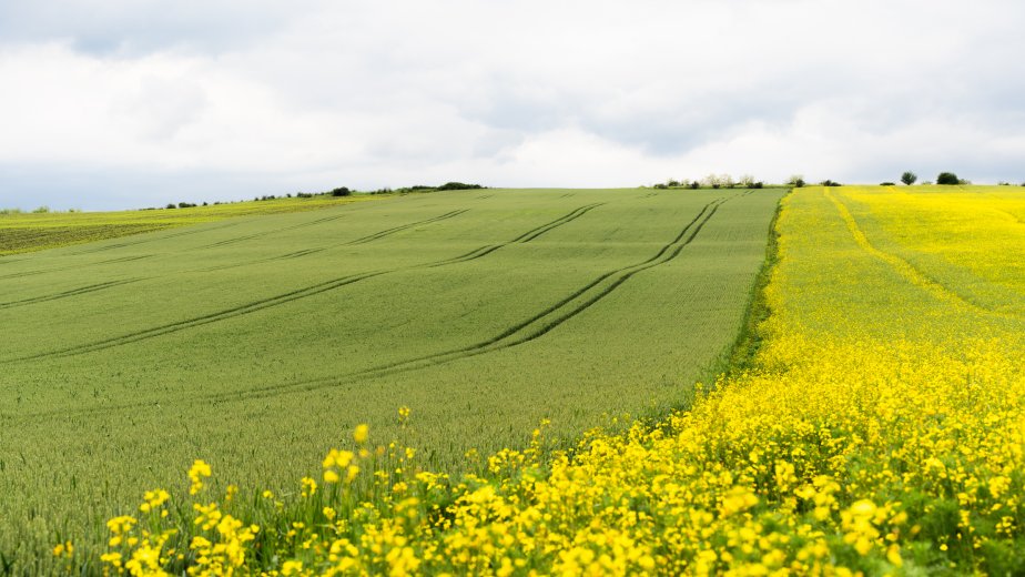 Dráguló inputanyagok, csökkenő nyereség: a túlélésért küzdenek a kisgazdaságok