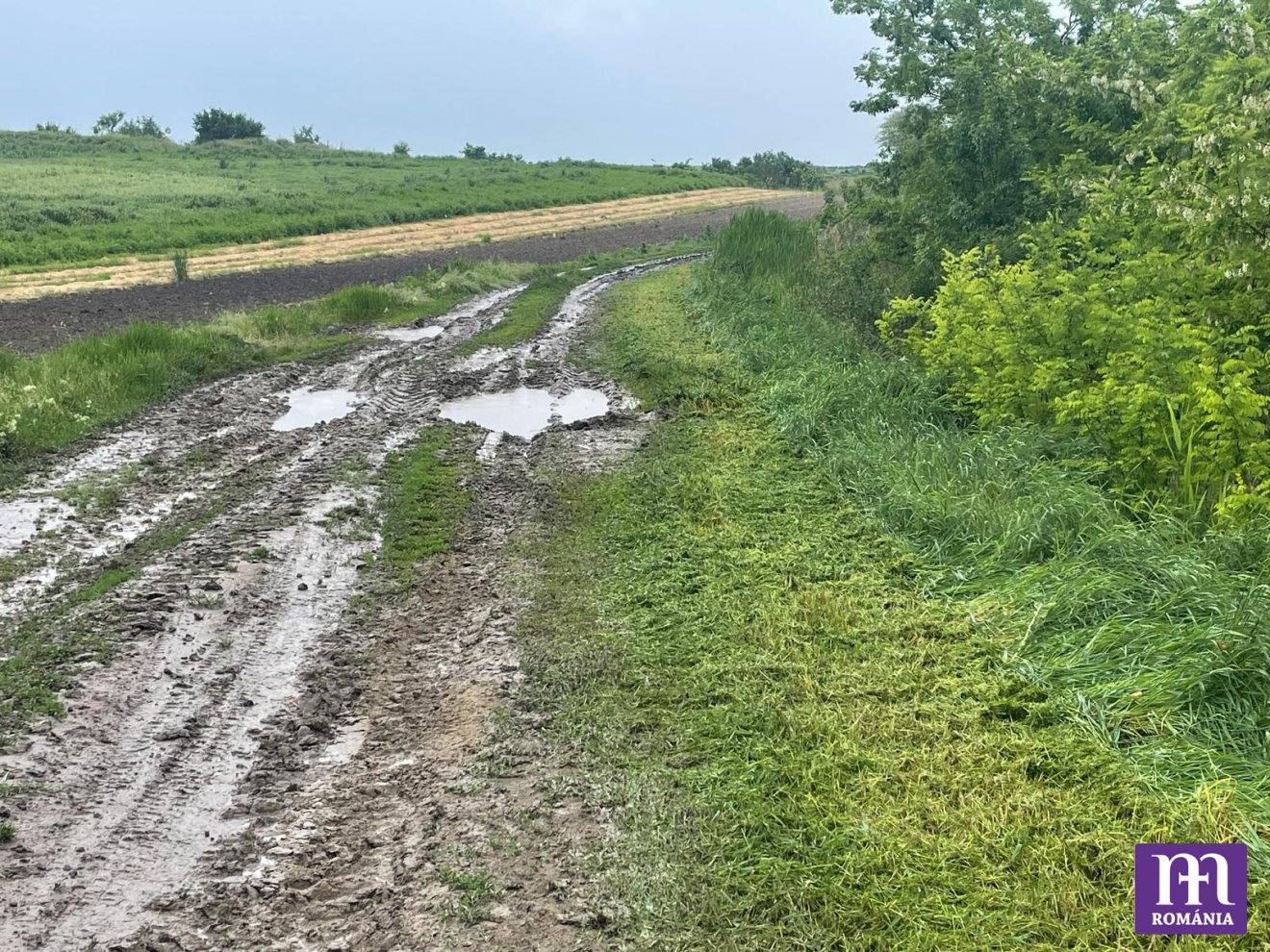 csíksomlyói búcsú