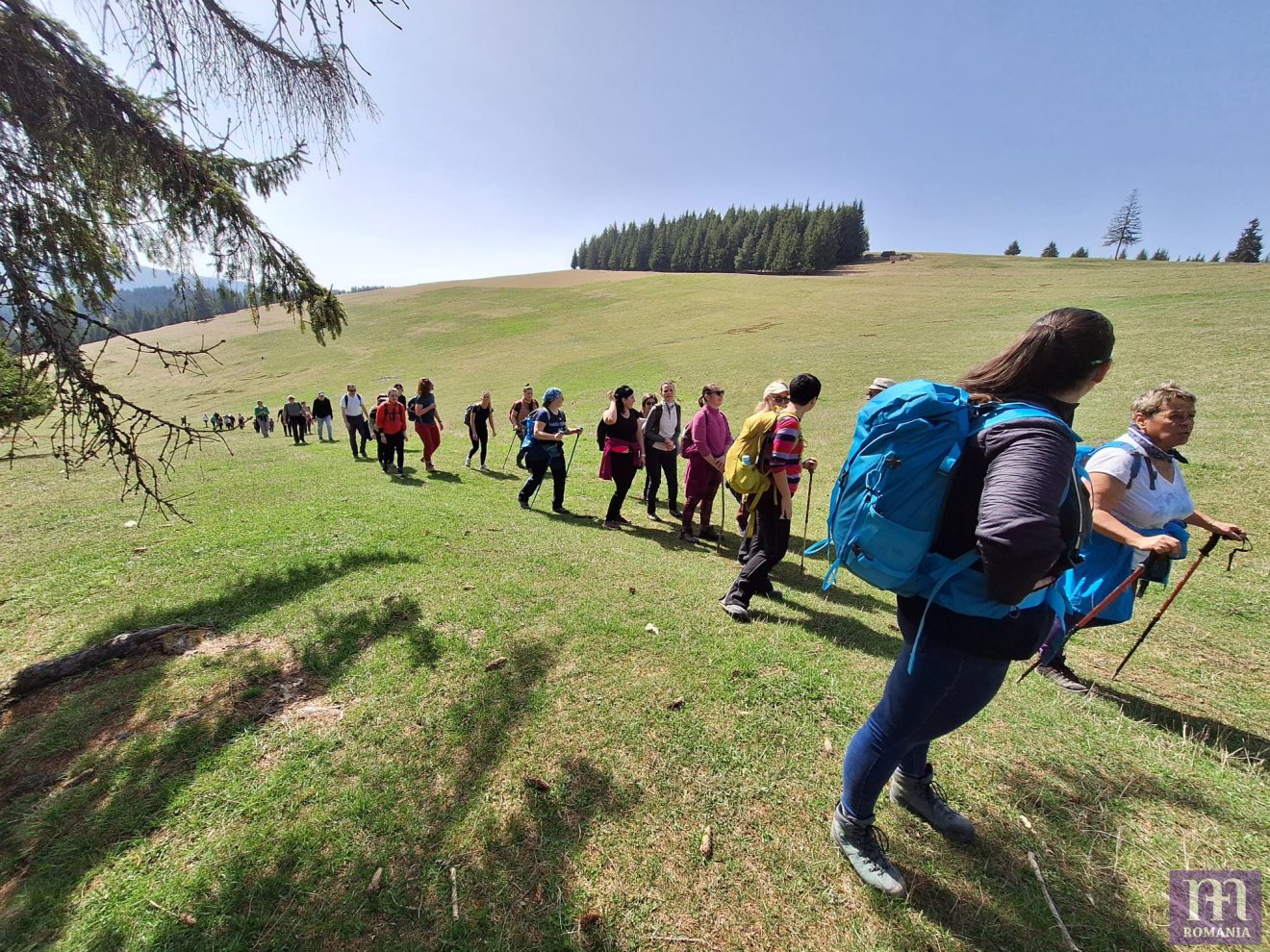 csíksomlyói búcsú