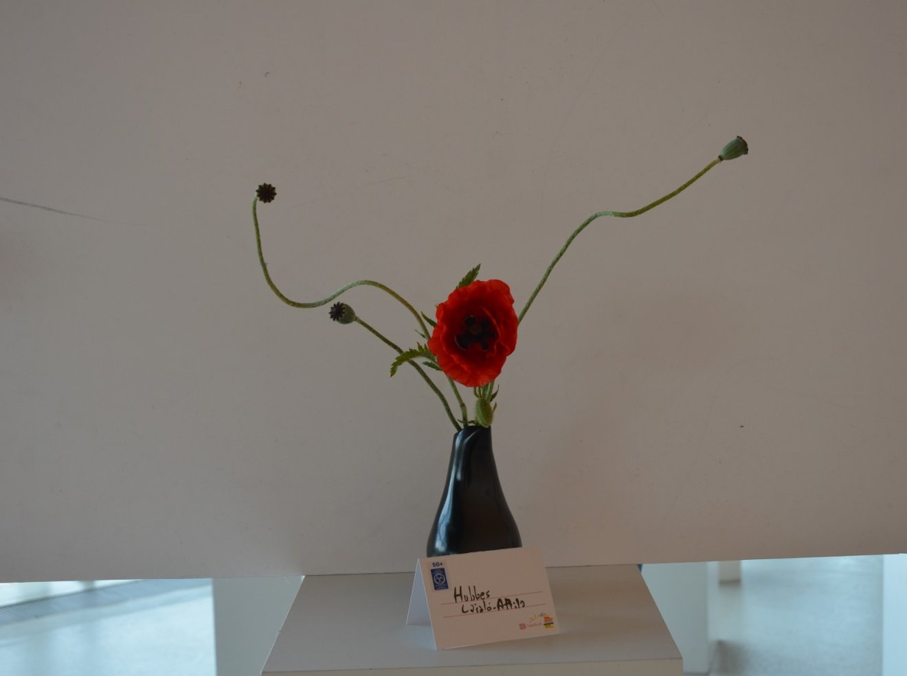 ikebana