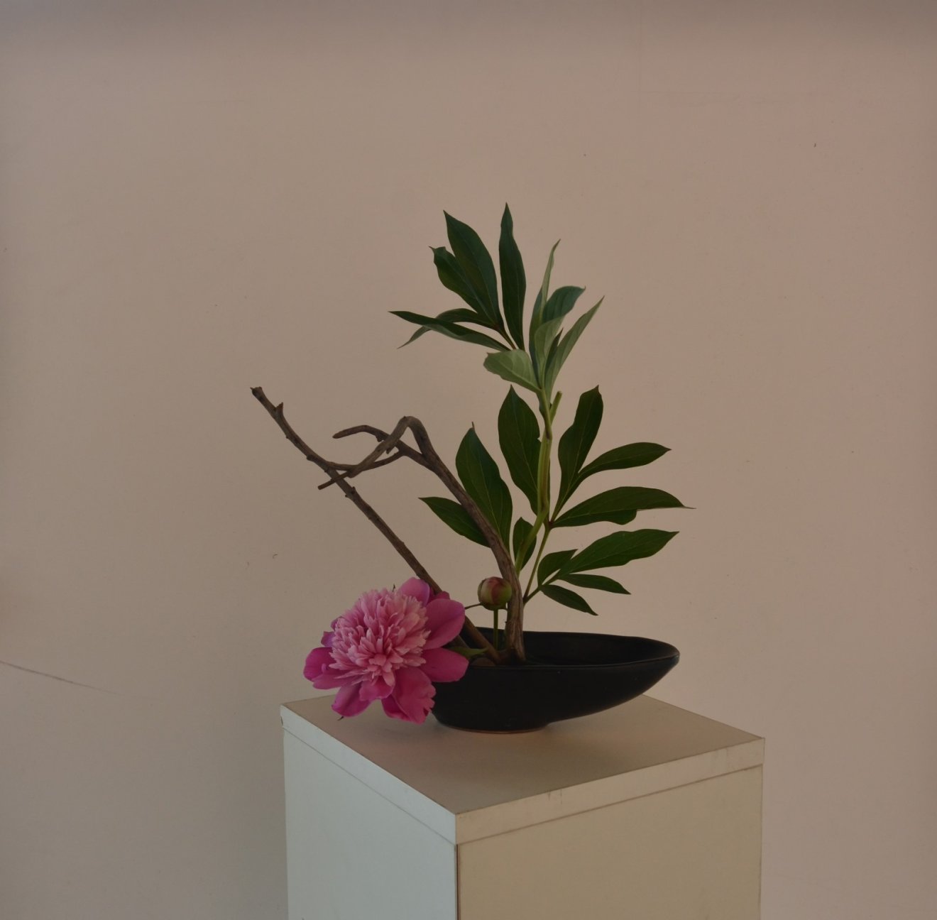ikebana