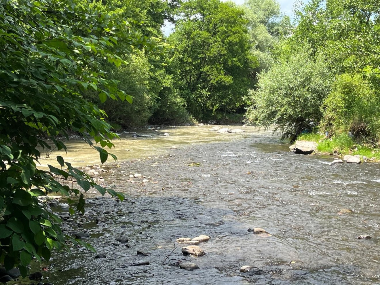 parajd