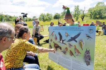 Földközeli jövő – A biodiverzitásért dolgozik Kalotaszegen az ALPA Egyesület