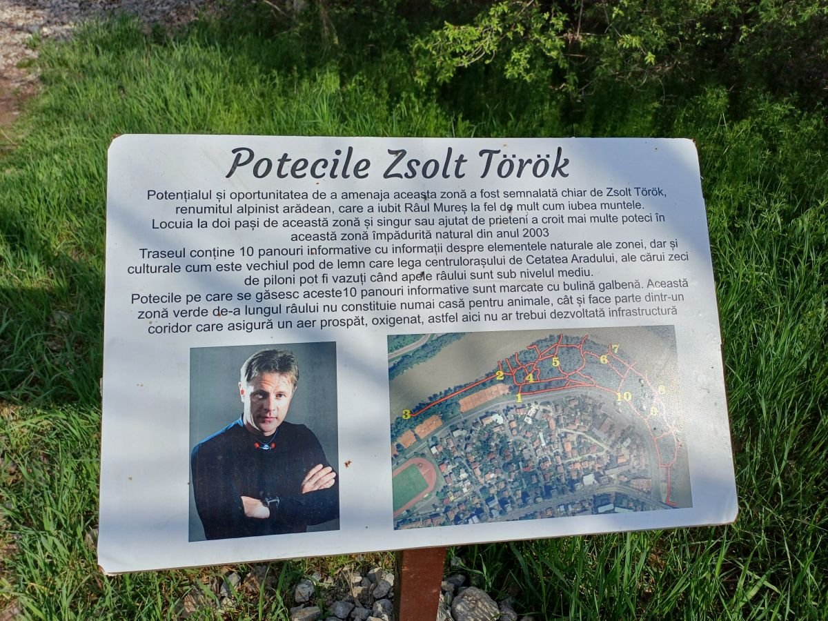 Török Zsolt