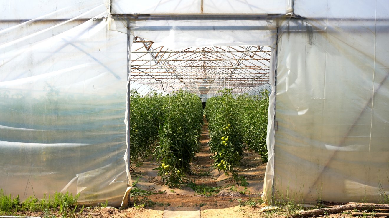 &bullet;  Fotó: Orbán Orsolya