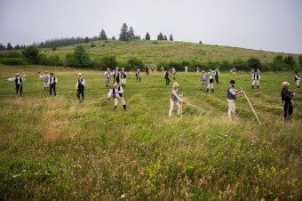 Elkezdődött a kaszáló kaláka a csíkszentkirályi Bakalján