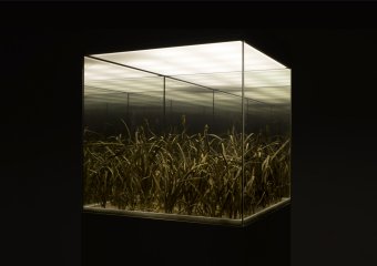 Makkai István kortárs szobrászművésznek nyílik meg az első átfogó tárlata az Erdélyi Művészeti Központban