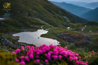 Zöldebbé váltak az elmúlt évtizedekben a Kárpátok magashegyi területei