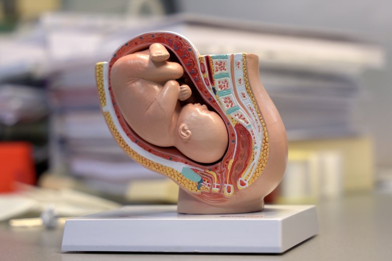 Csecsemőhalandóság és szülőszobai erőszak: kismamák vallomásai