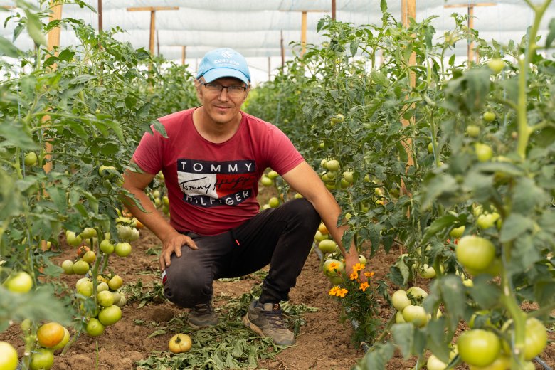 Harmincéves magok, mai ízek – egy hegyközkovácsi gazda mindennapjai a piacig