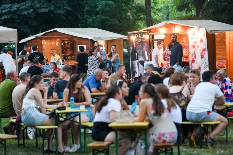Bor a kastélyban: húsz Kárpát-medencei pincészetet várnak Nagykárolyba