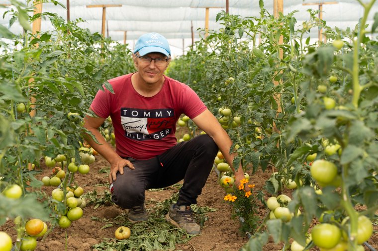 Harmincéves magok, mai ízek – egy hegyközkovácsi gazda mindennapjai a piacig