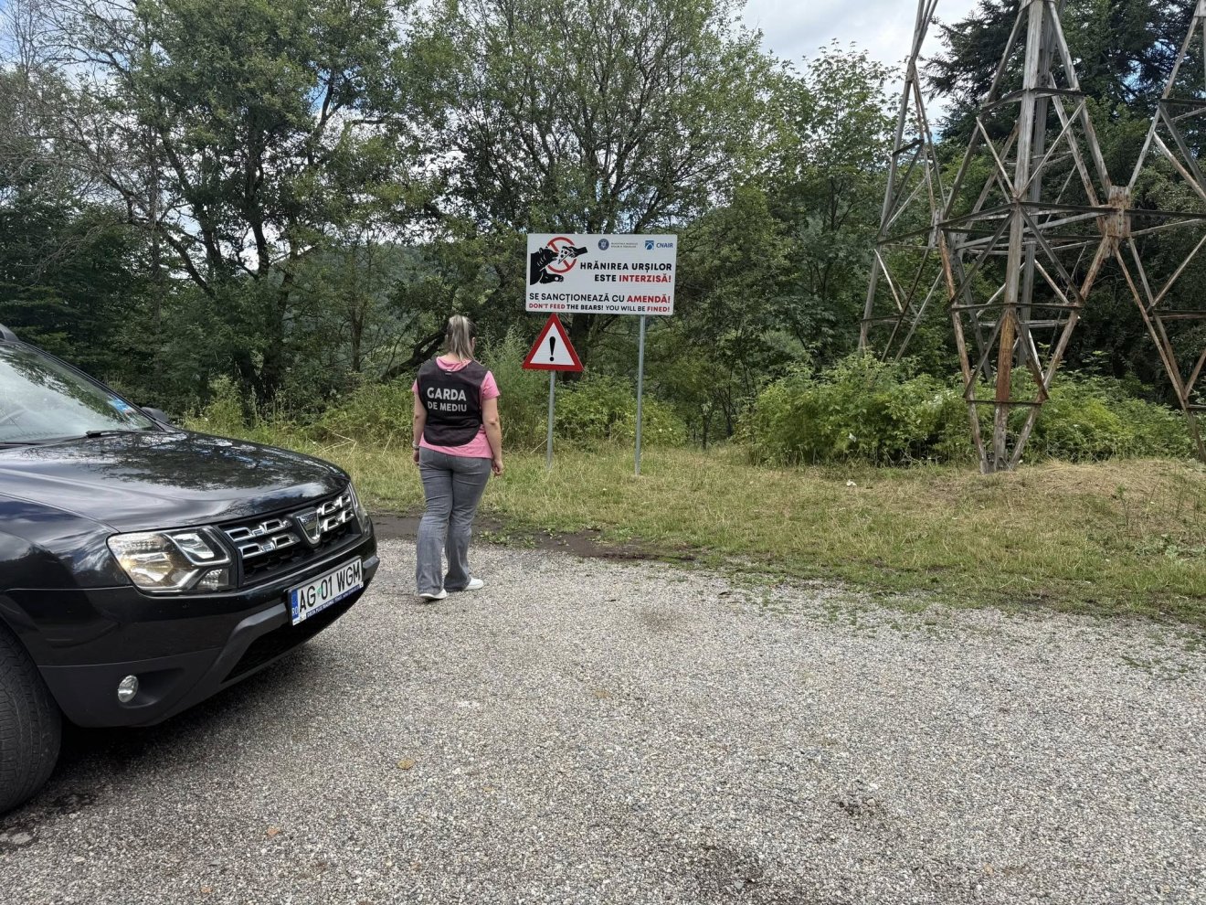 medvék