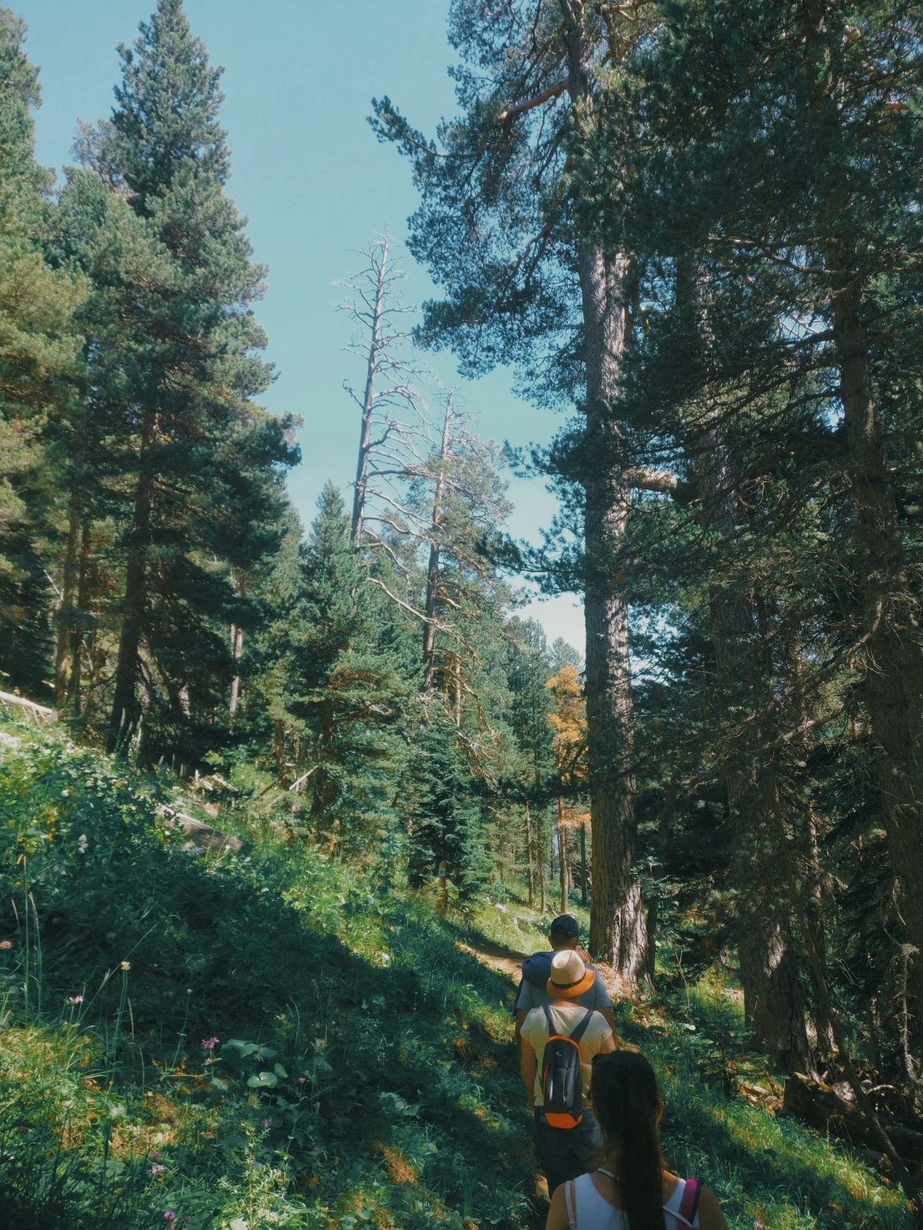 tábor