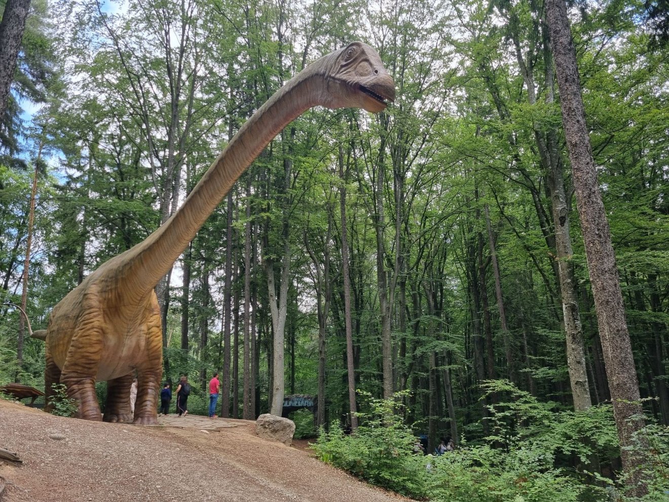 A barcarozsnyói Dino Park •  Fotó: Páva Adorján
